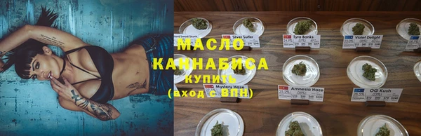 амф Инсар
