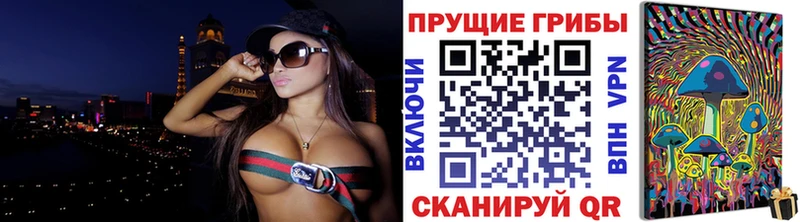 МЕГА ссылка  Костерёво  Псилоцибиновые грибы Cubensis 